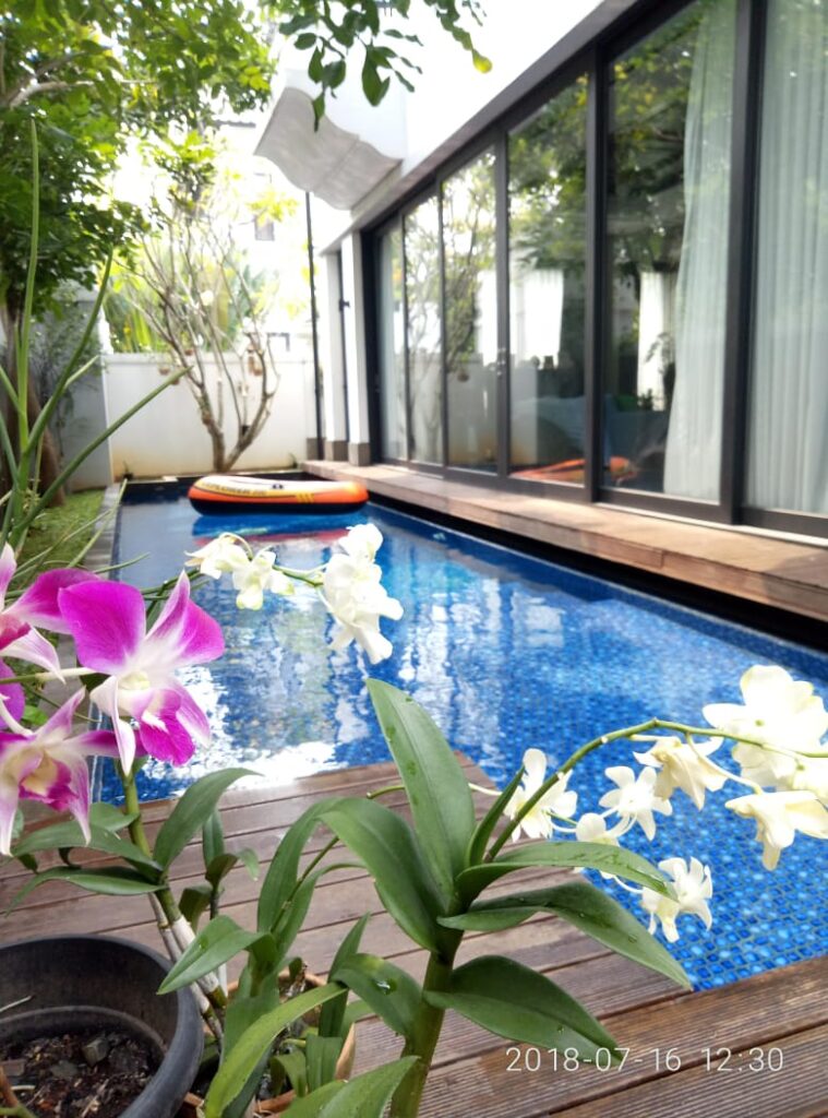 Layanan Jasa Perawatan Kolam Renang Tanah Abang